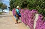 0912 Peschici - camping Manacore